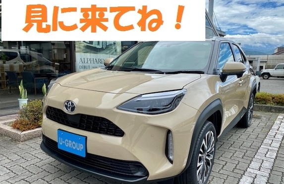非売品 トヨタ ヤリスクロス カラーサンプル ベージュ Amazon | 1/30 トヨタ 新型ヤリスクロス YARIS CROSS
