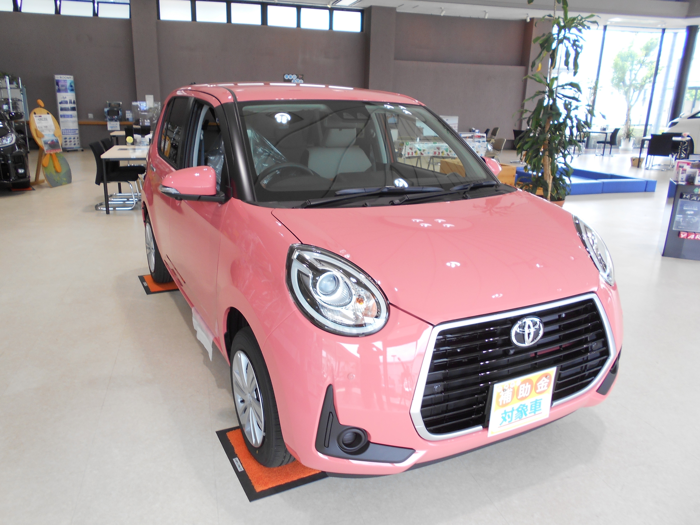 展示車のご案内