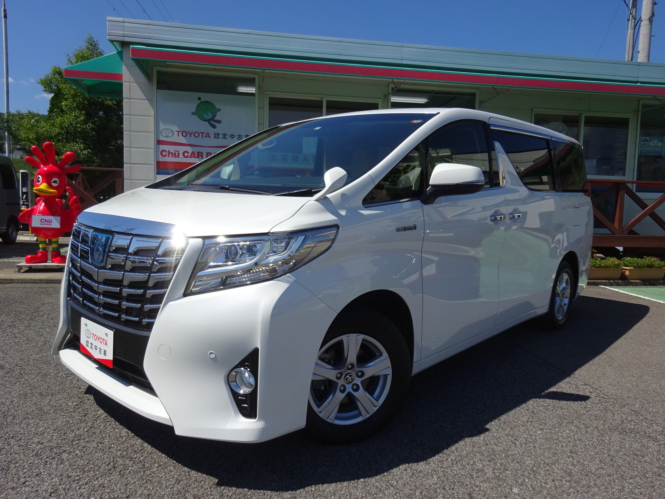 ブログ限定：７台】 超～最新中古車入情報！！