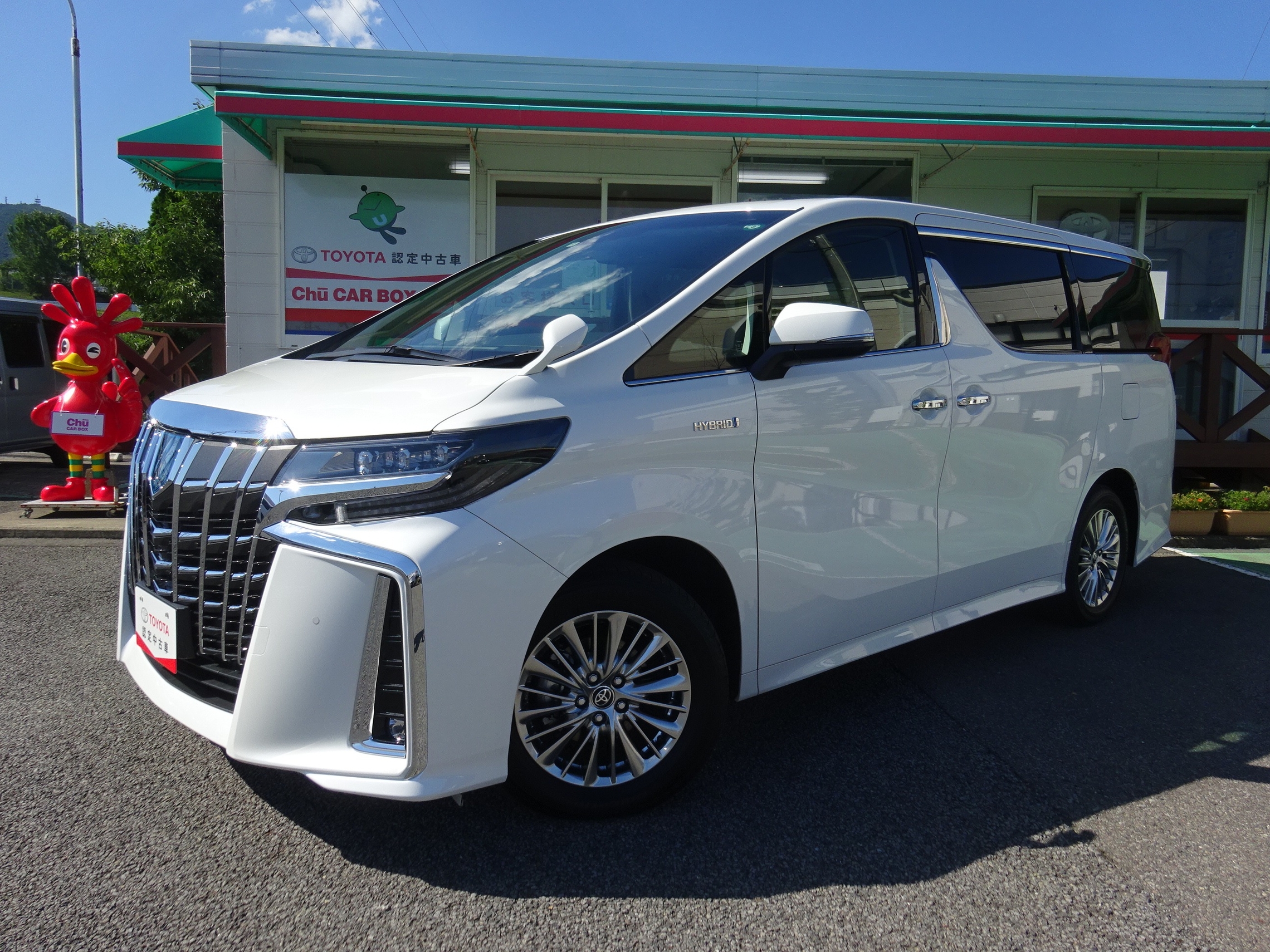 ブログ限定：７台】 超～最新中古車入情報！！