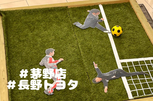 なすのの１みり