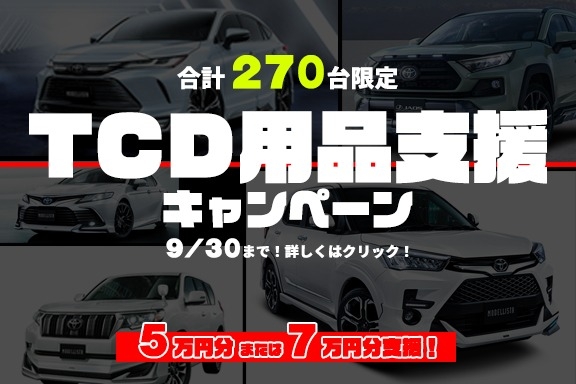 https://www.nagano-toyota.jp/topics/tcd_option_purchase_support_cp_202308