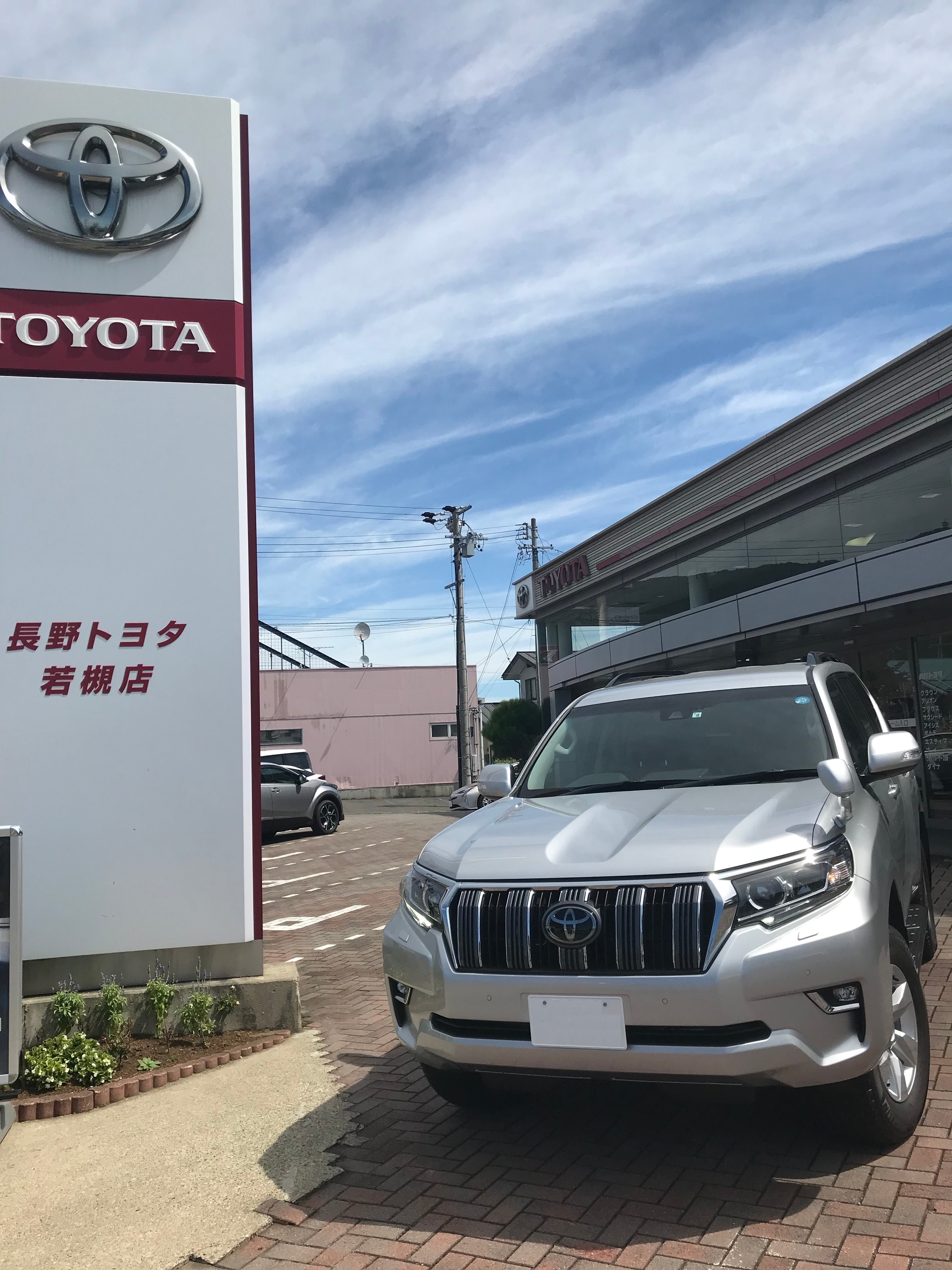 プラドディーゼル乗れます
