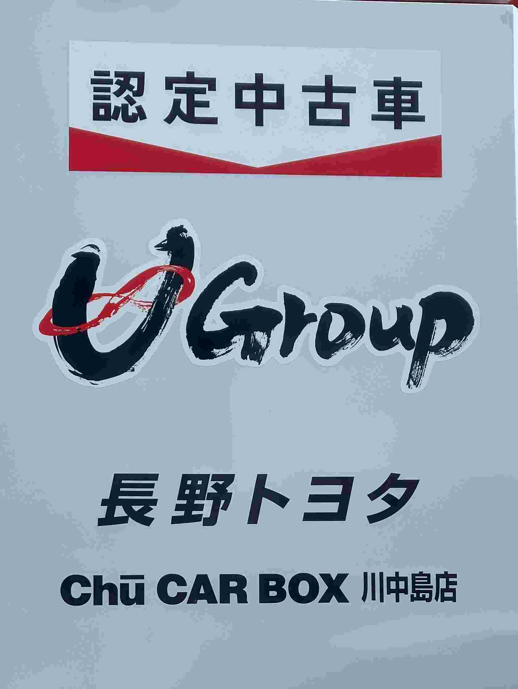 昭和レトロ 善光寺遊覧記念大人レトロ乗車券 川中島自動車株式会社 長野 昭和レトロ 善光寺遊覧記念大人レトロ乗車券 川中島自動車株式