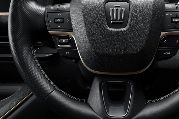 70th anniversary 特別装備（RS “THE 70th”専用）