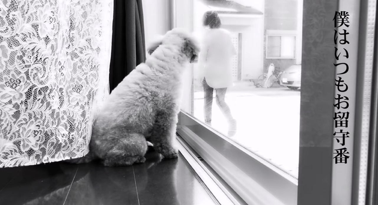 動画を再生
