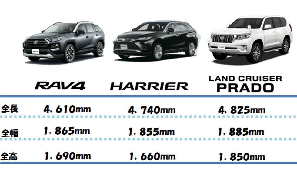 試乗車が増えました